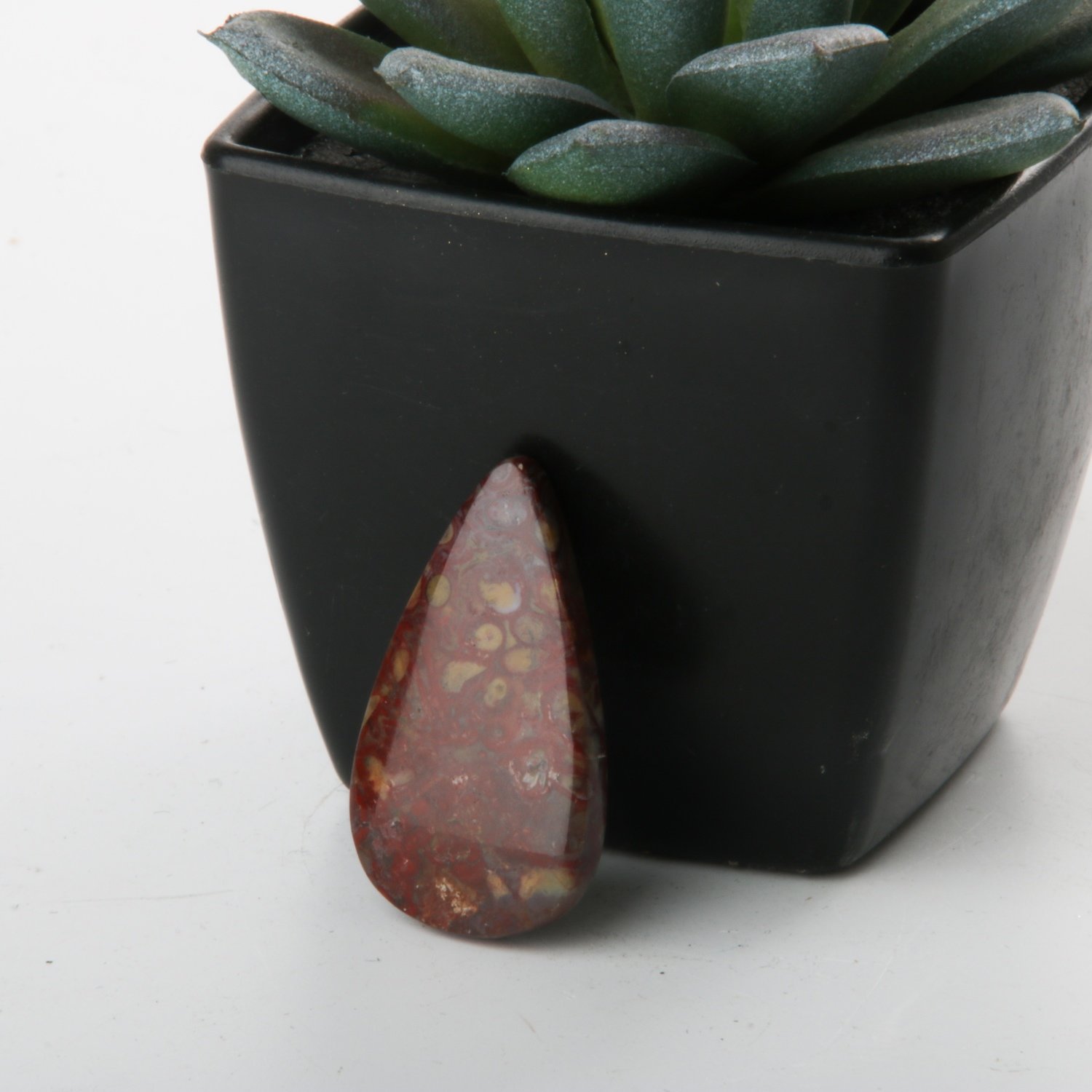 Teardrop Red Palm Root Cabochon