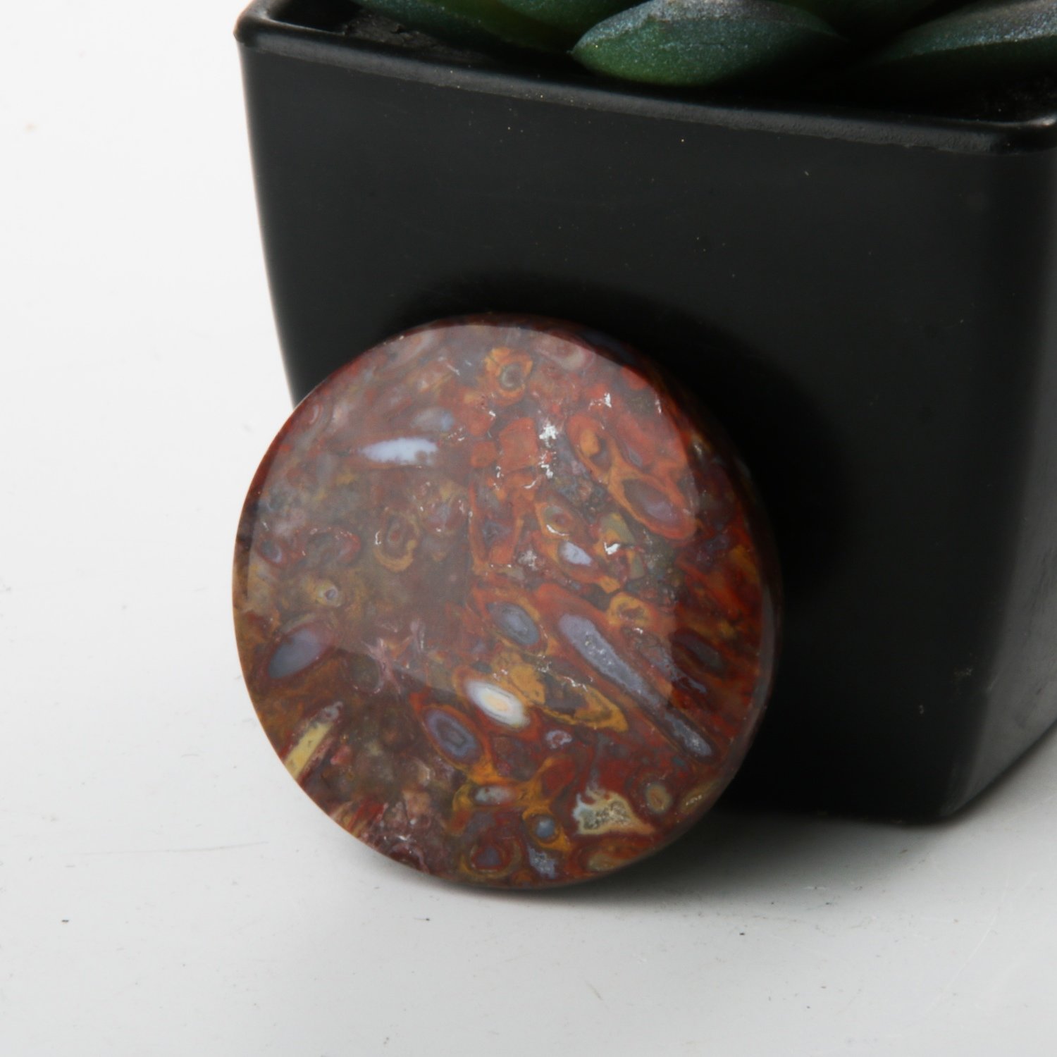 Circular Agatized Red Palm Root Cabochon