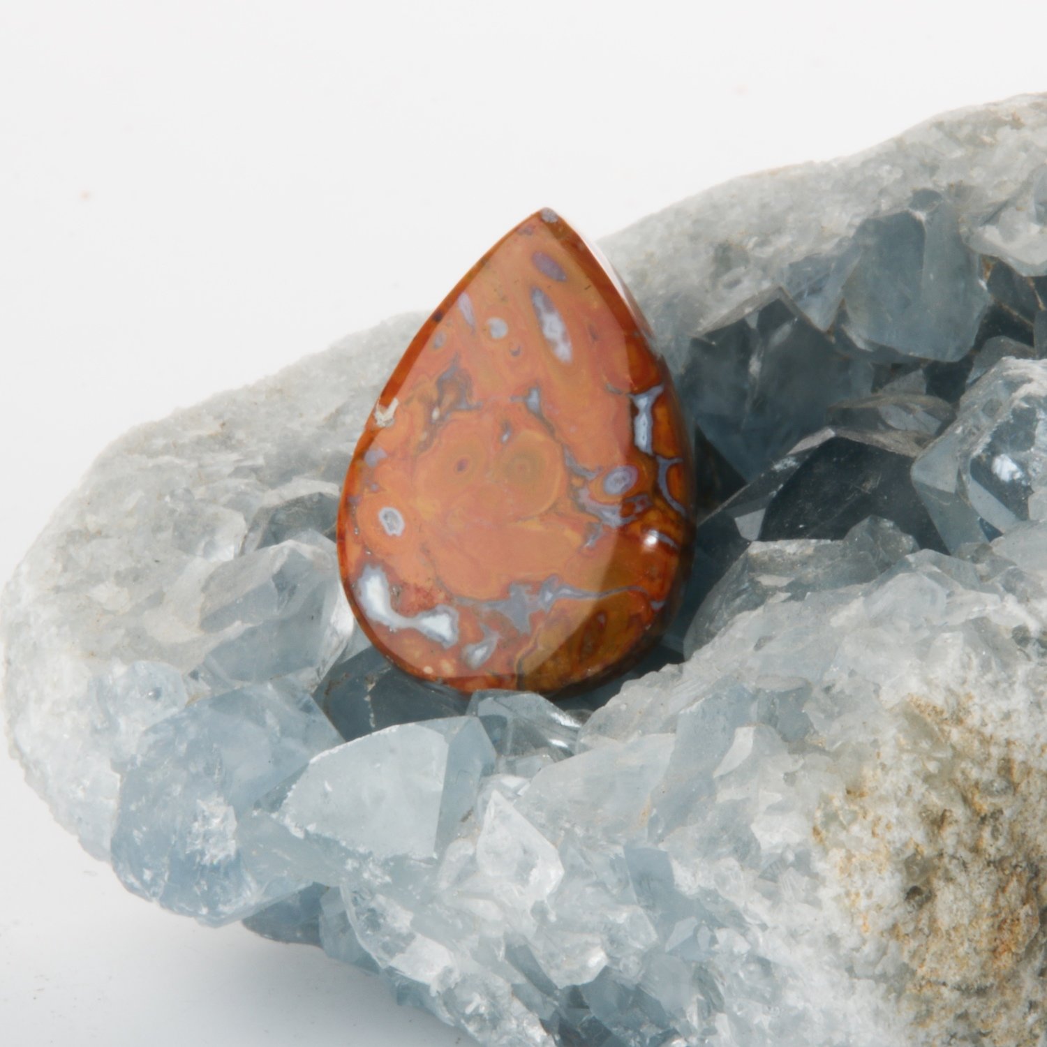 Red Palm Root Cabochon