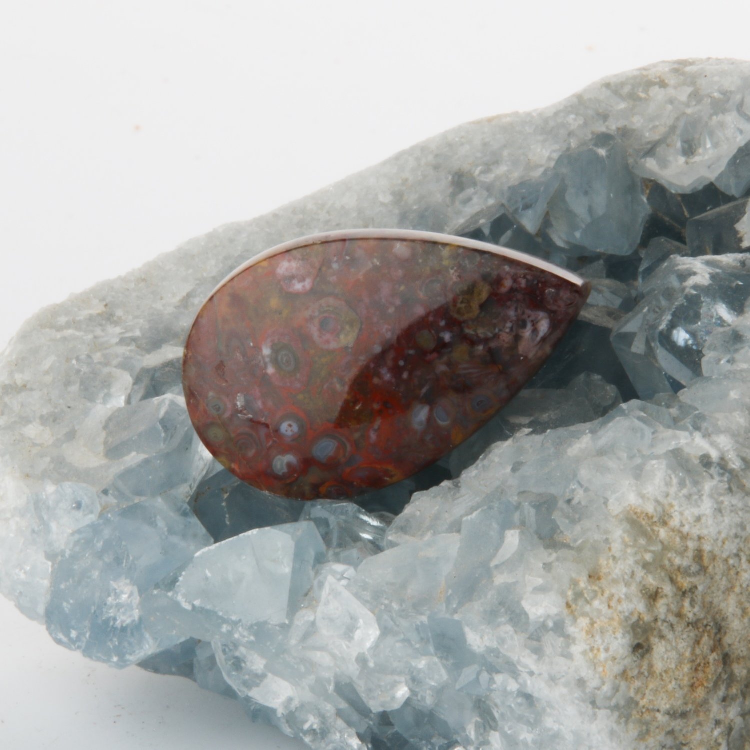 Teardrop Red Palm Root Cabochon