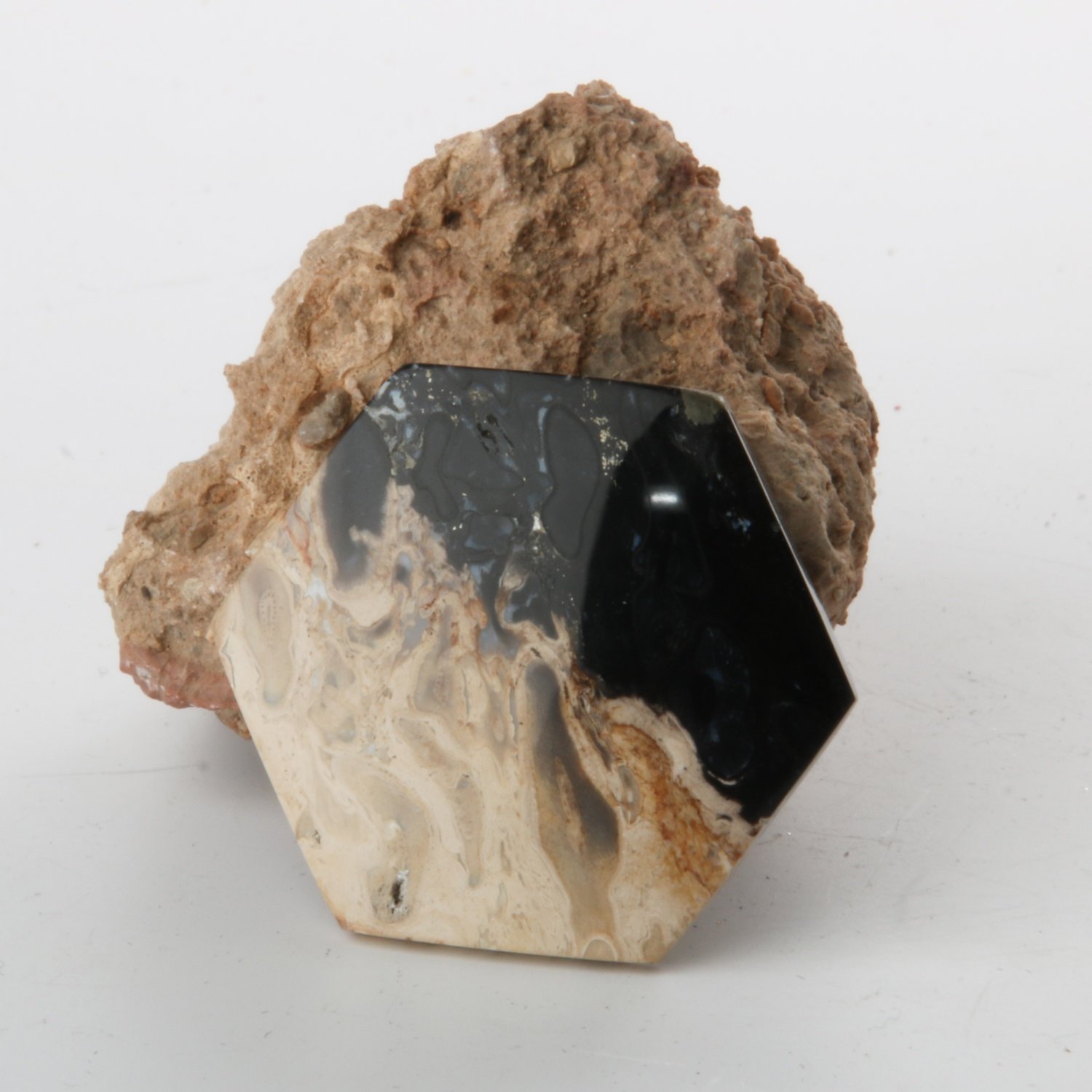 Black Palm Root Cabochon