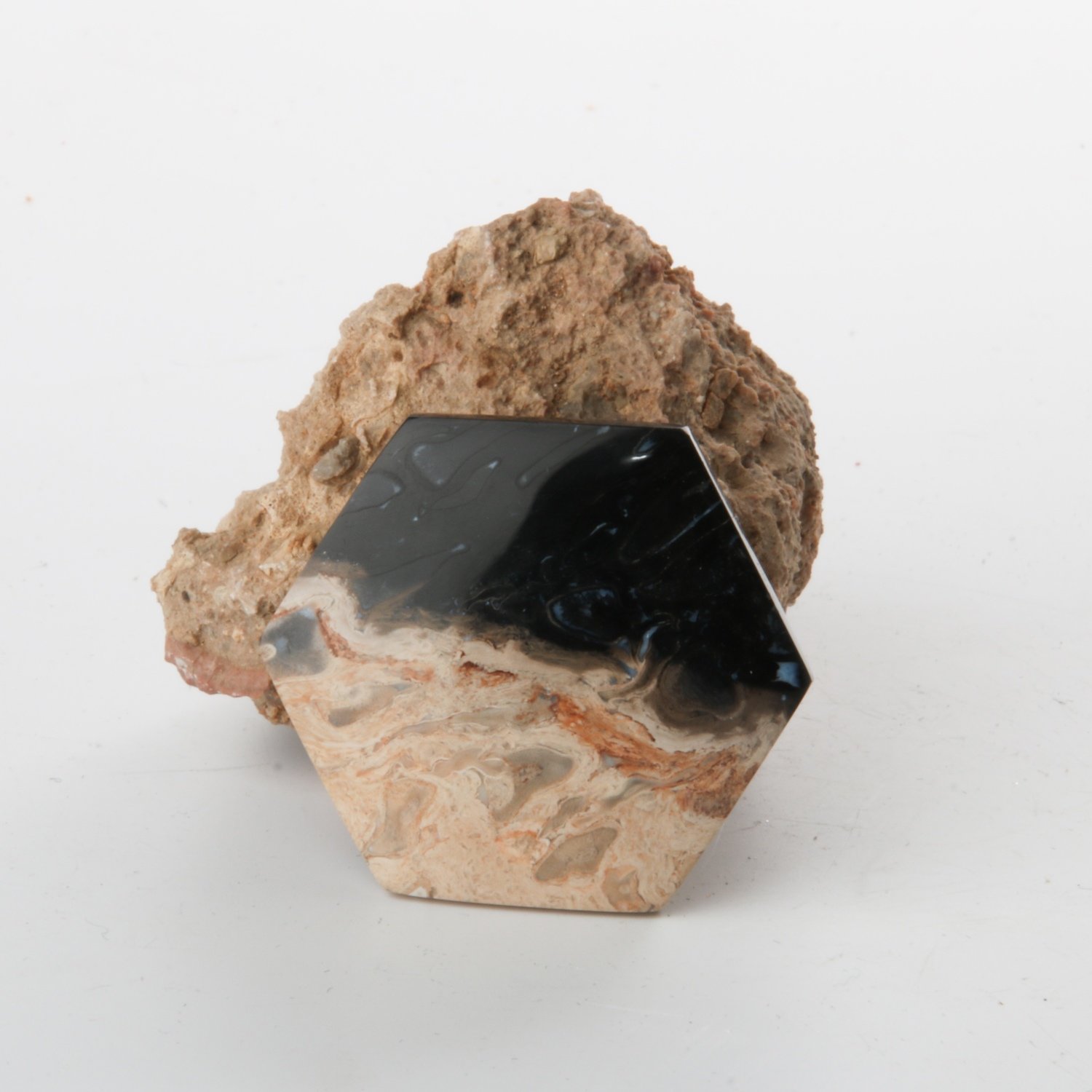 Black Palm Root Cabochon