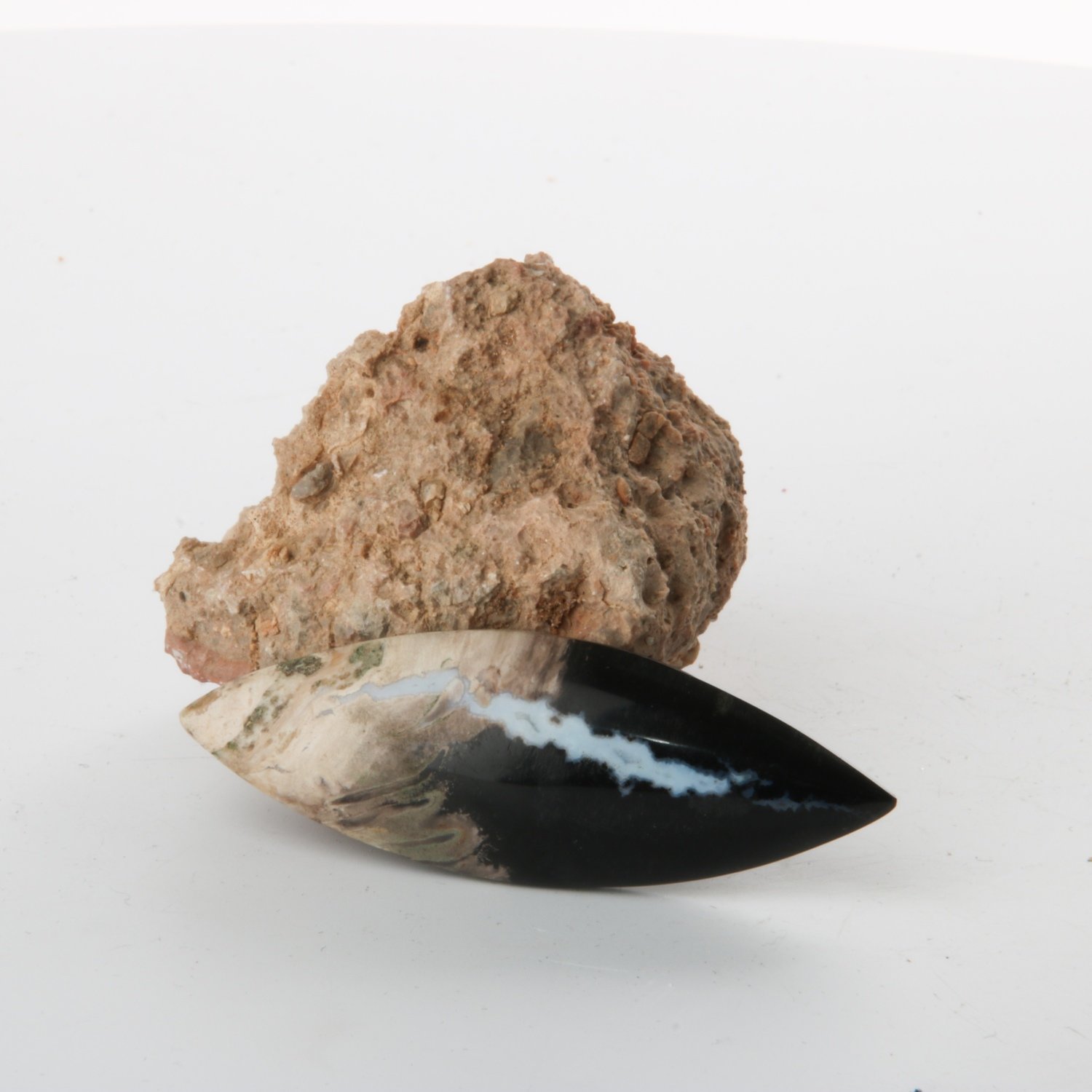 Black Palm Root Cabochon