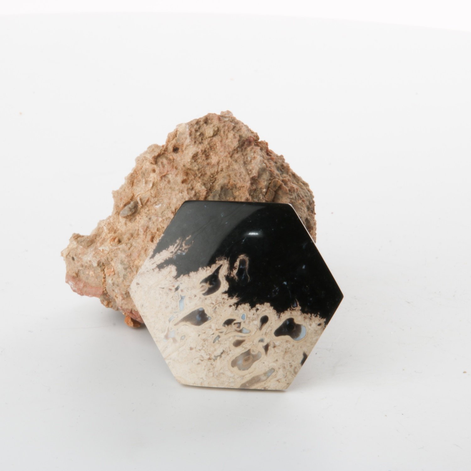 Black Palm Root Cabochon