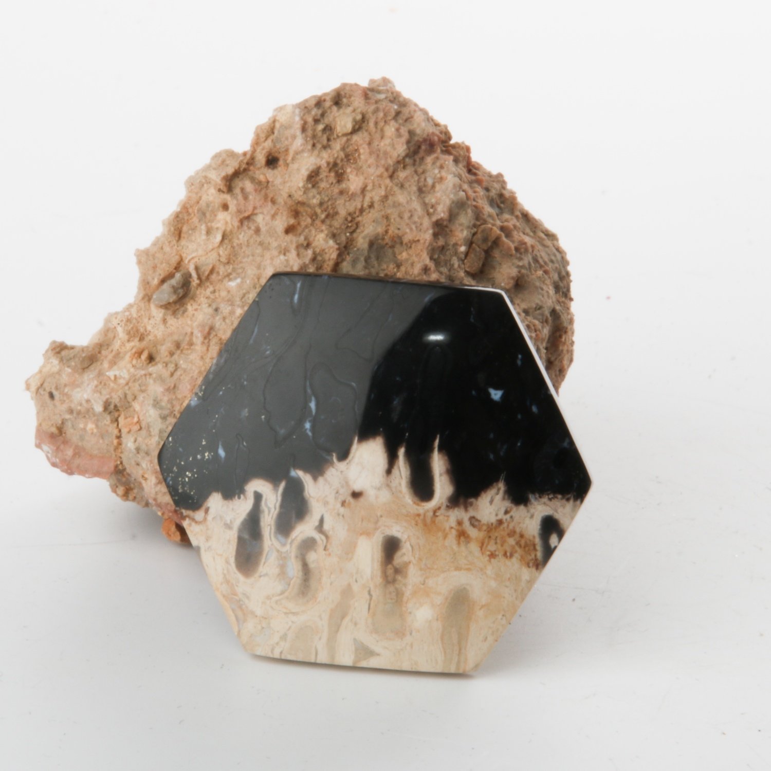 Black Palm Root Cabochon