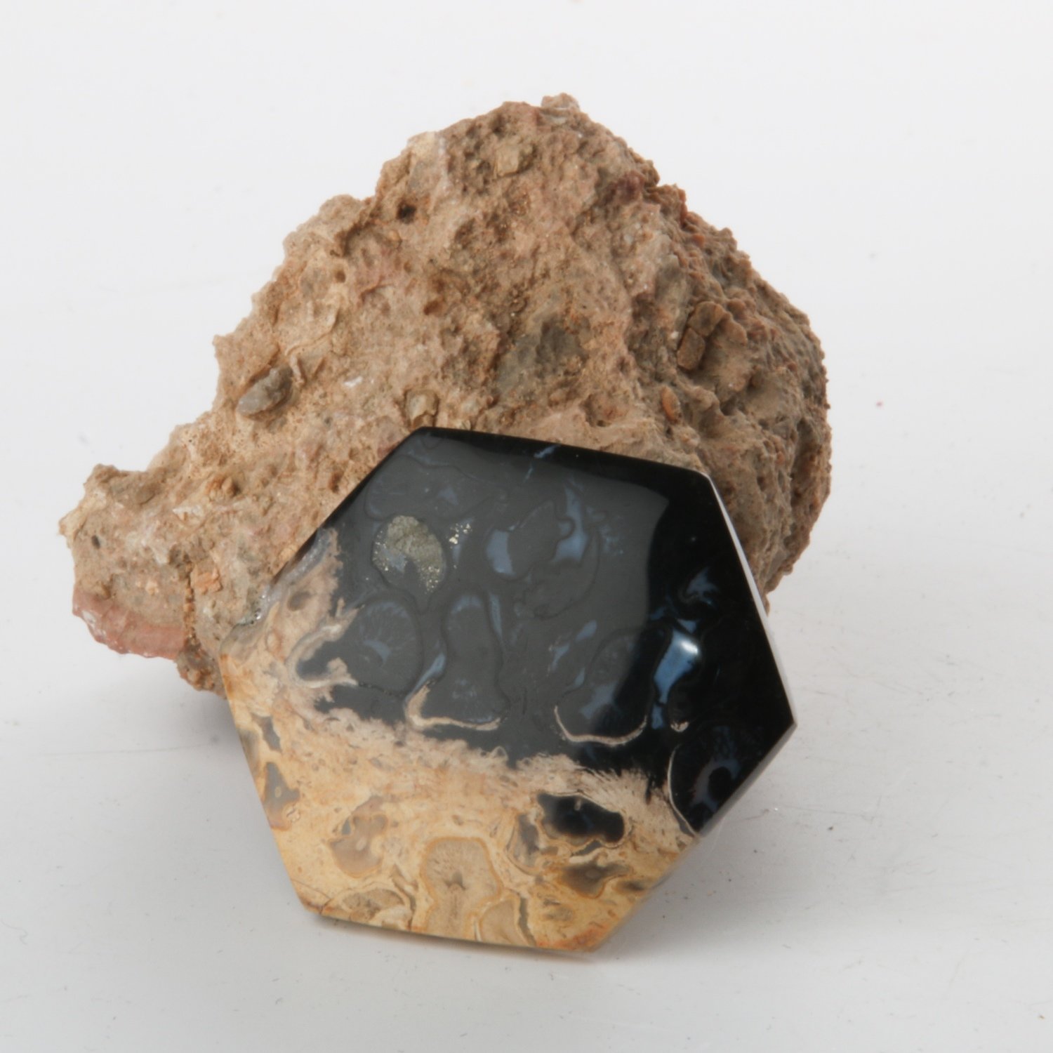 Black Palm Root Cabochon