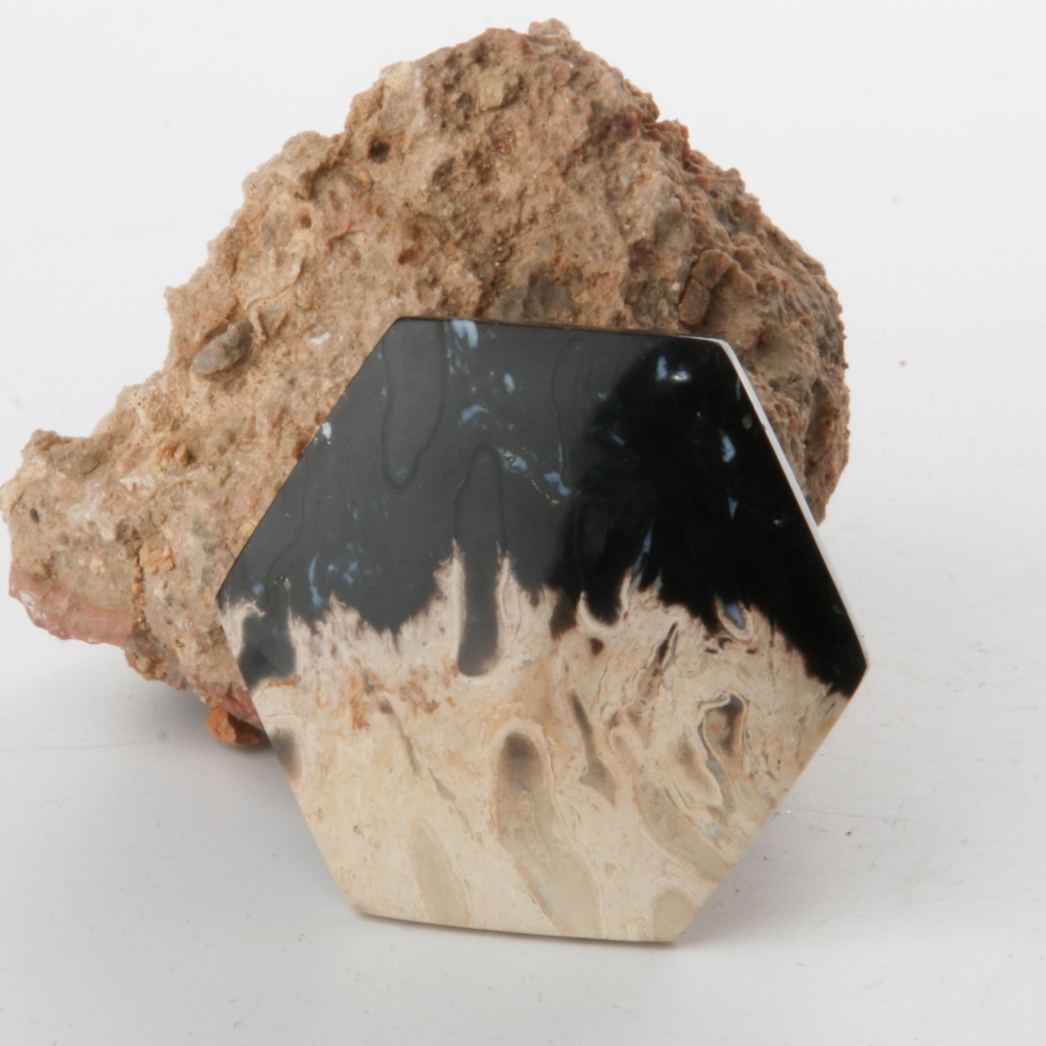Black Palm Root Cabochon