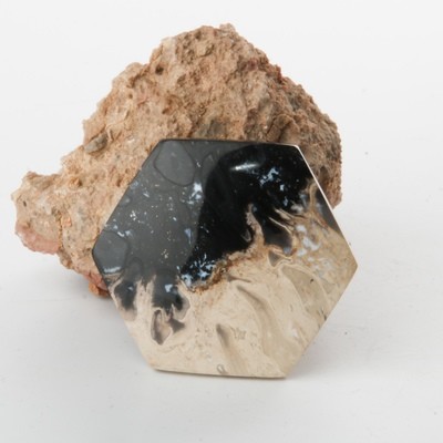 Black Palm Root Cabochon
