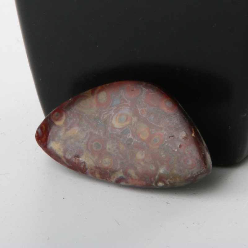 Red Palm Root Cabochon