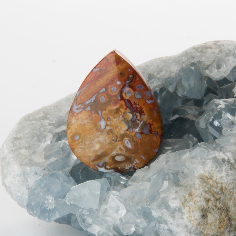 Red Palm Root Cabochon