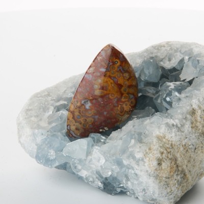 Red Palm Root Cabochon