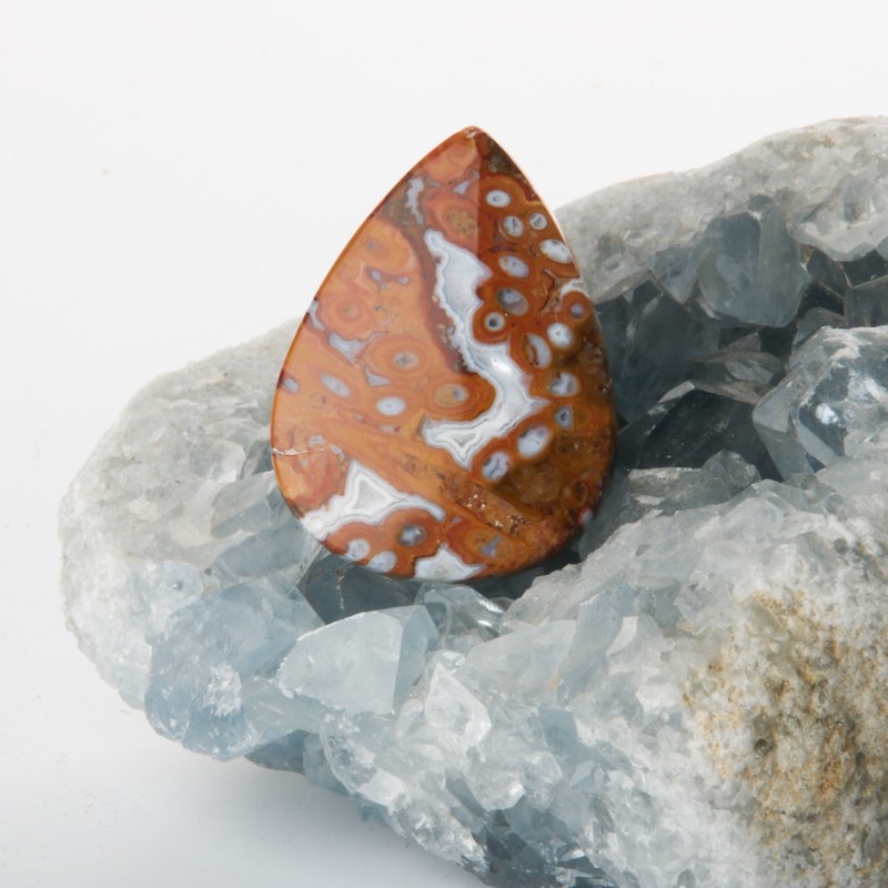 Red Palm Root Cabochon