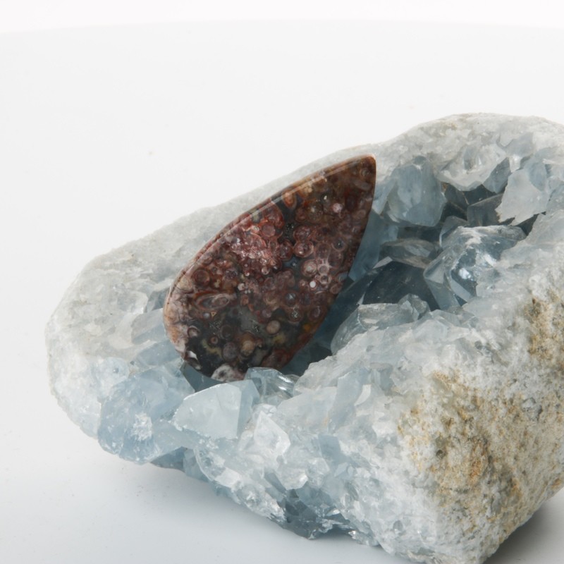 Teardrop Red Palm Root Cabochon