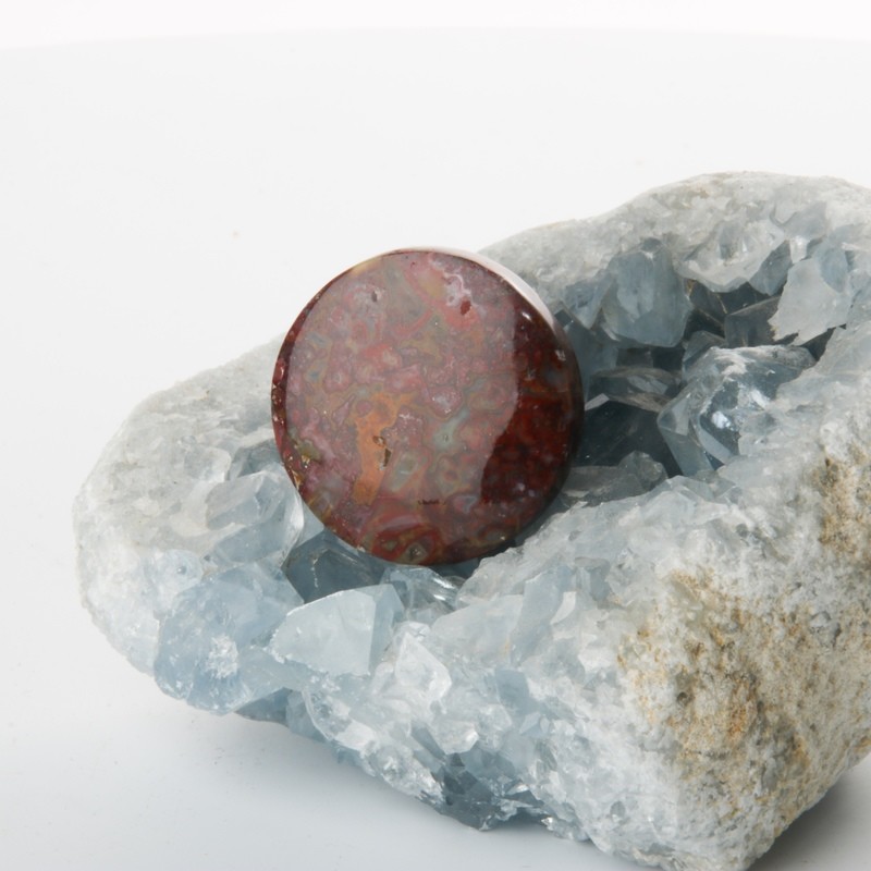 Red Palm Root Cabochon