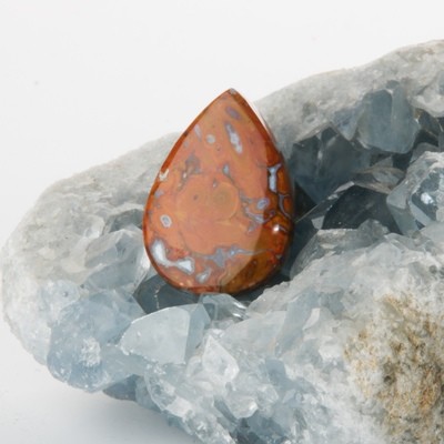 Red Palm Root Cabochon