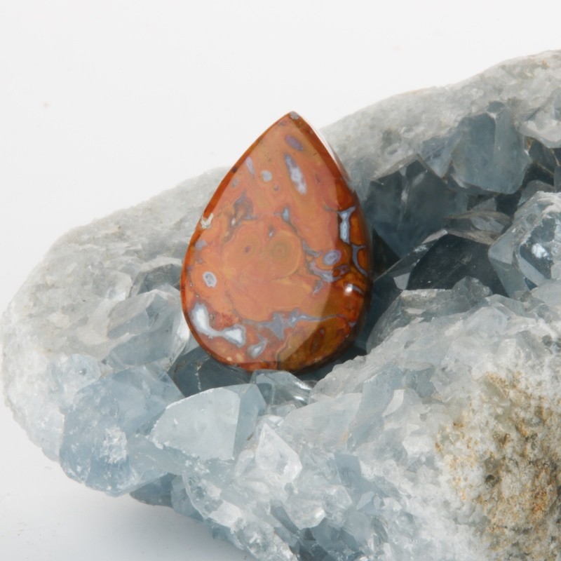 Red Palm Root Cabochon