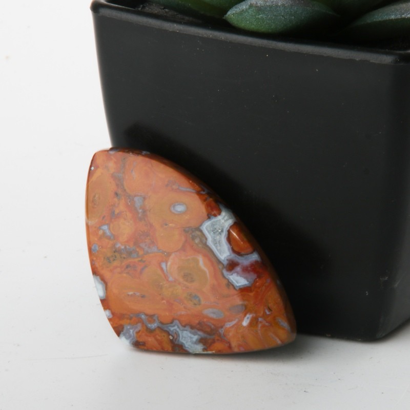 Red Palm Root Cabochon