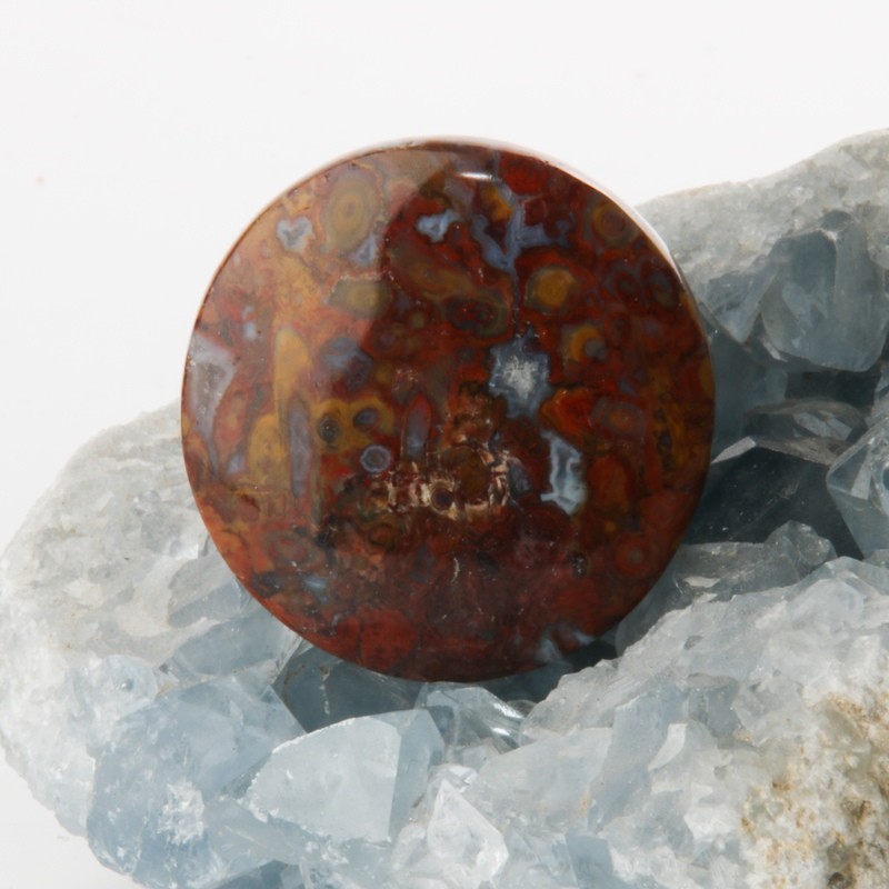 Red Palm Root Cabochon