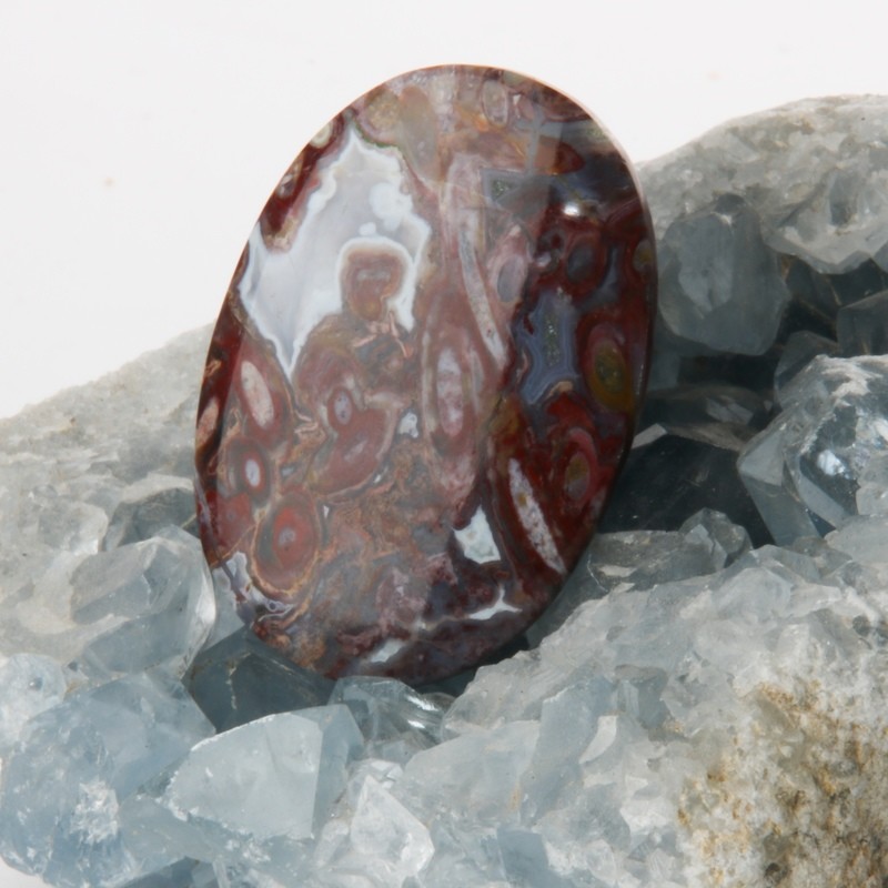 Red Palm Root Cabochon