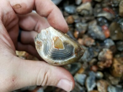Botswana Agate Lapidary Rough - 10 Pound lot Botswana Agate Lapidary Rough - 10 Pound lot
