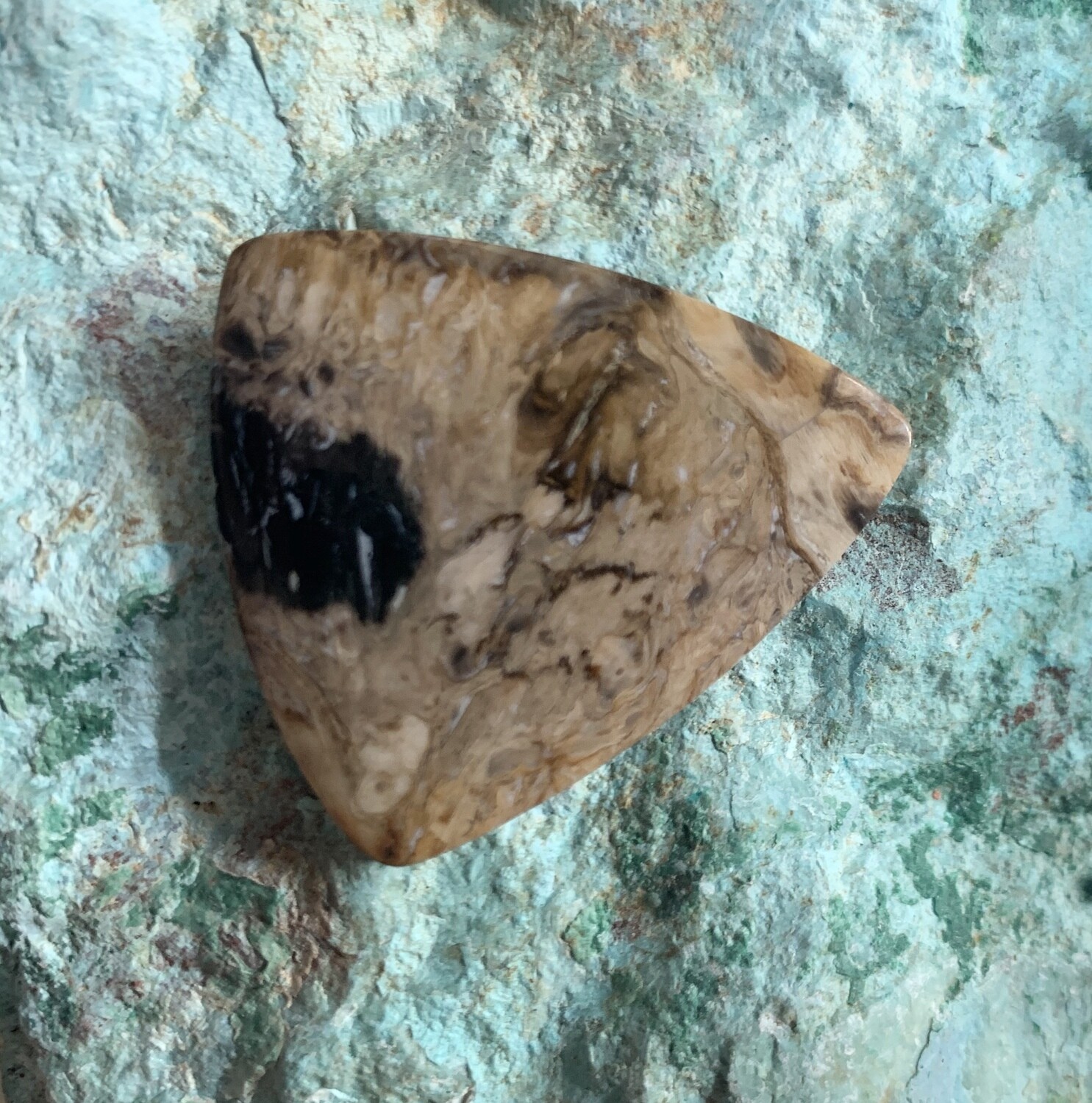 Black Palm Root Cabochon