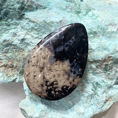 Black Palm Root Cabochon