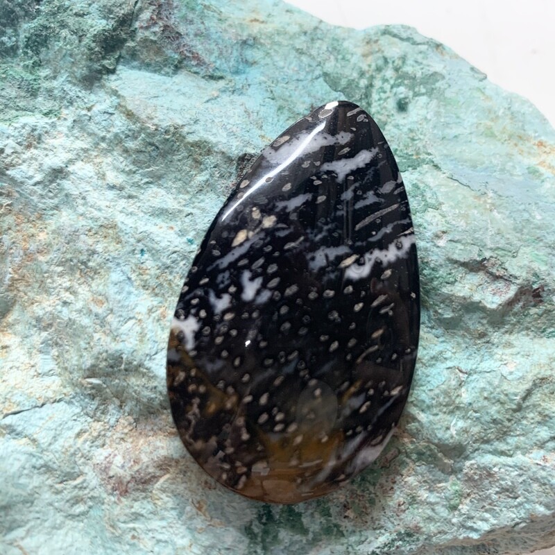 Black Palm Root Cabochon