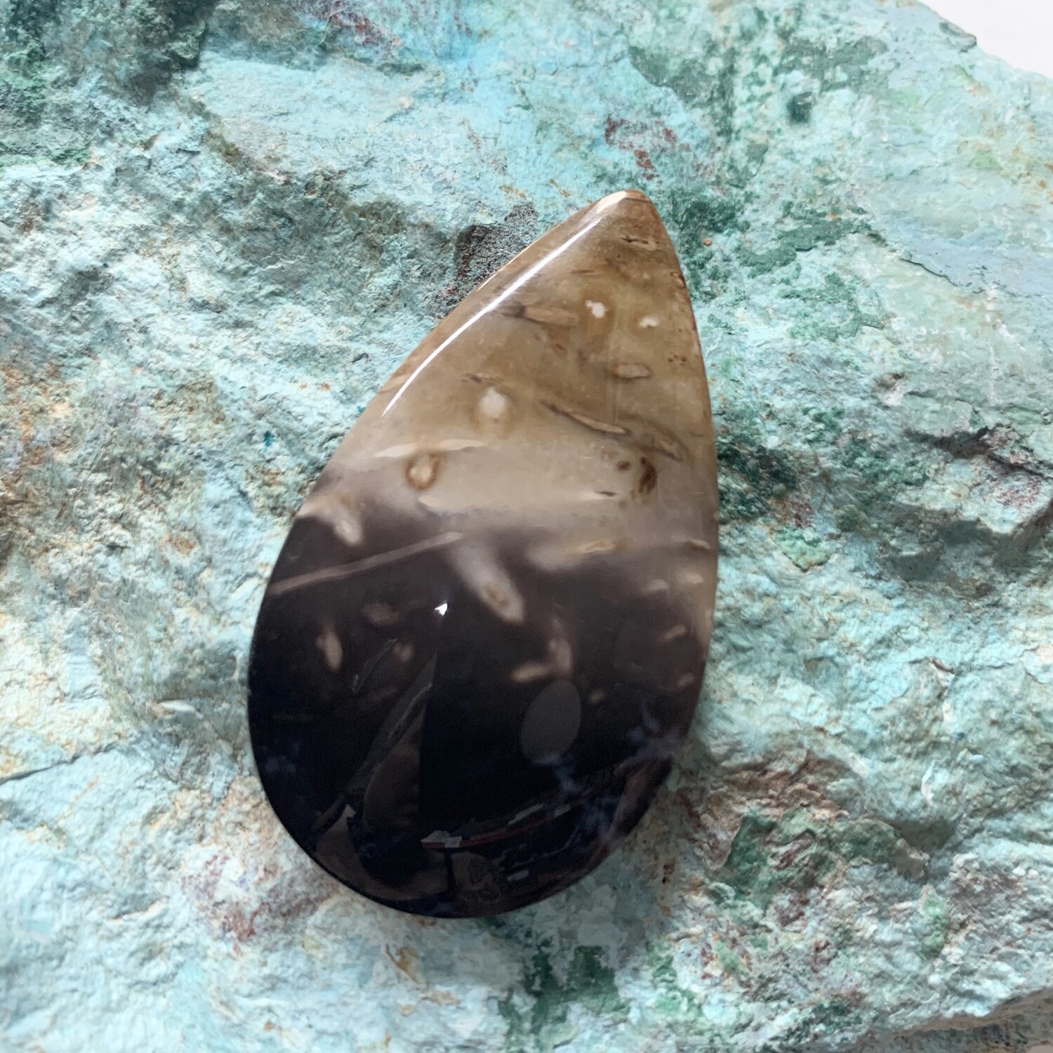 Black Palm Root Cabochon