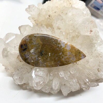 Indonesian Ocean Jasper Cabochon