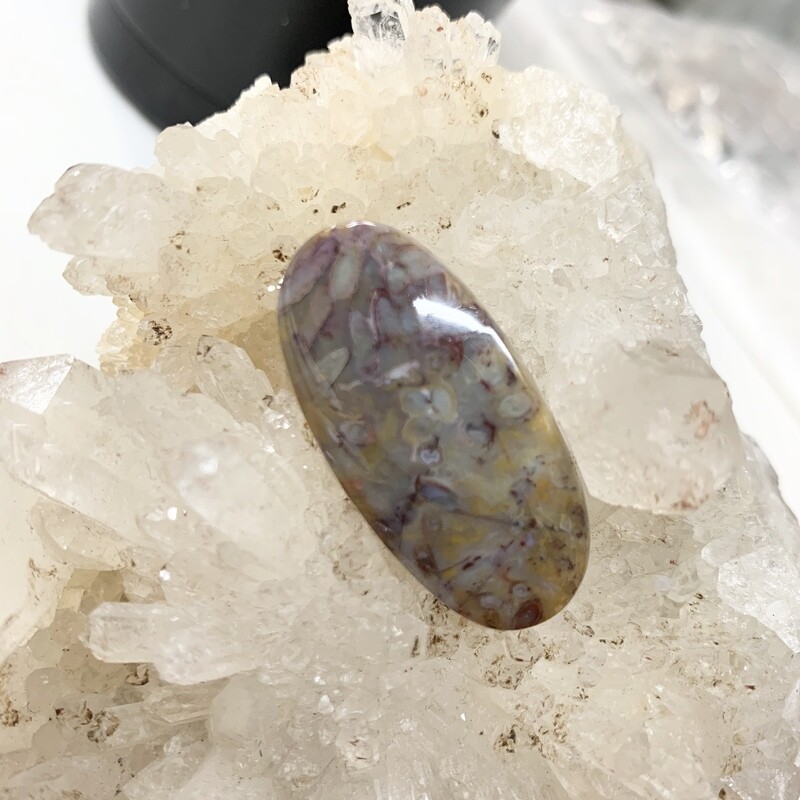 Indonesian Ocean Jasper Cabochon