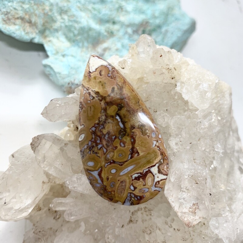 Indonesian Red Palm Root Cabochon