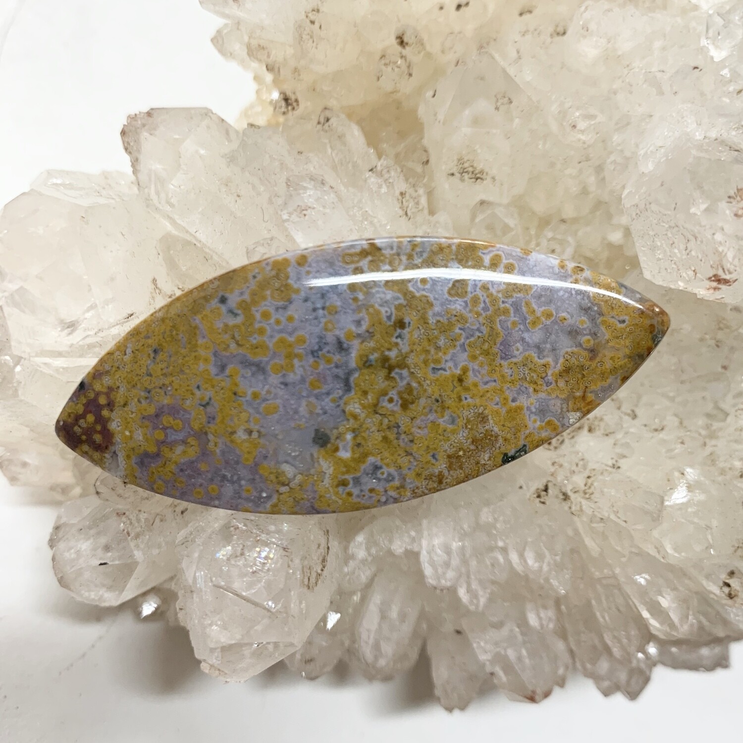 Indonesian Ocean Jasper Cabochon