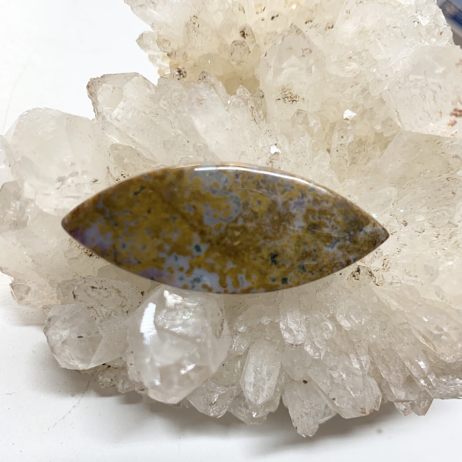 Indonesian Ocean Jasper Cabochon