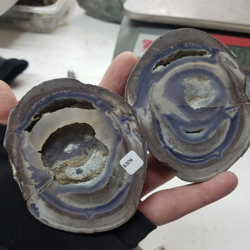 Thunderegg Pair Polished