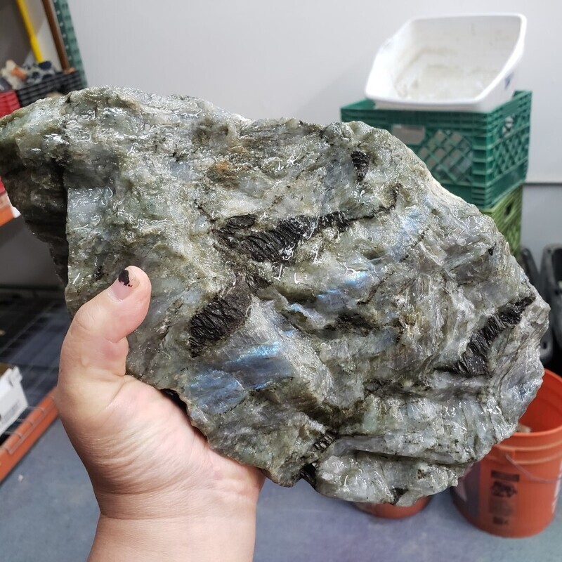 Electric Blue Labradorite Rough