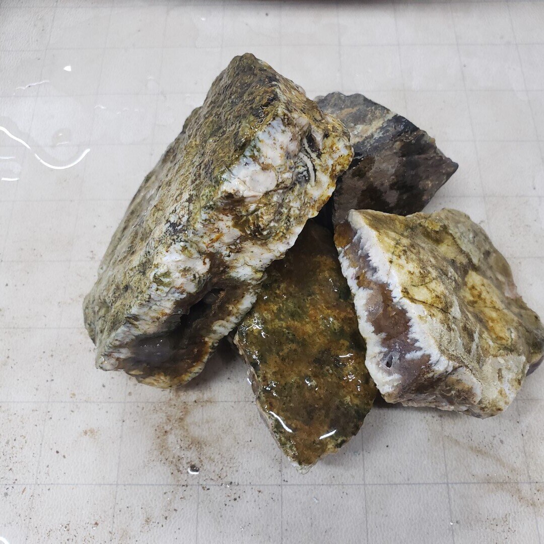 Linda Marie Plume Agate Rough