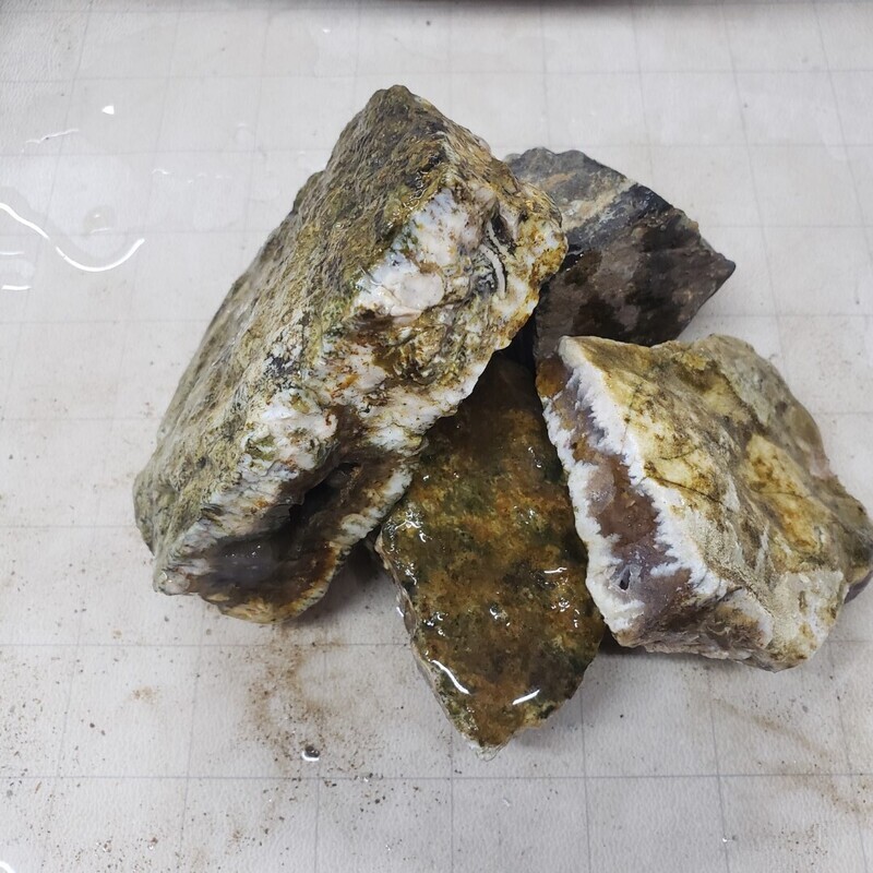 Linda Marie Plume Agate Rough