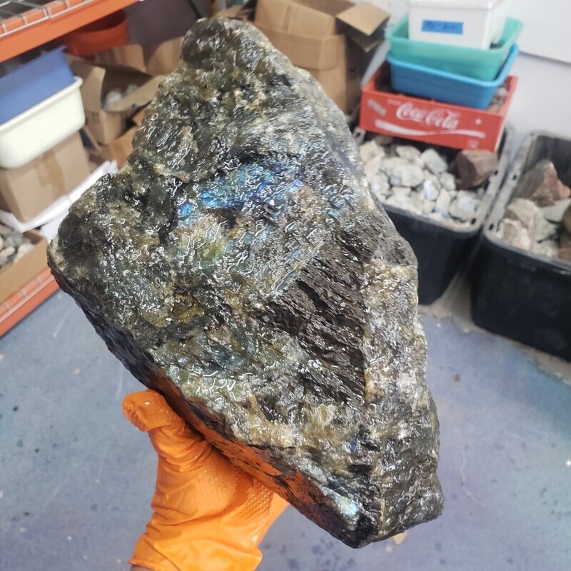 Electric Blue Labradorite Rough