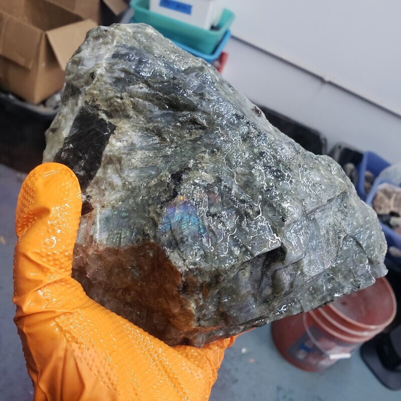 Peacock Blue Labradorite Rough