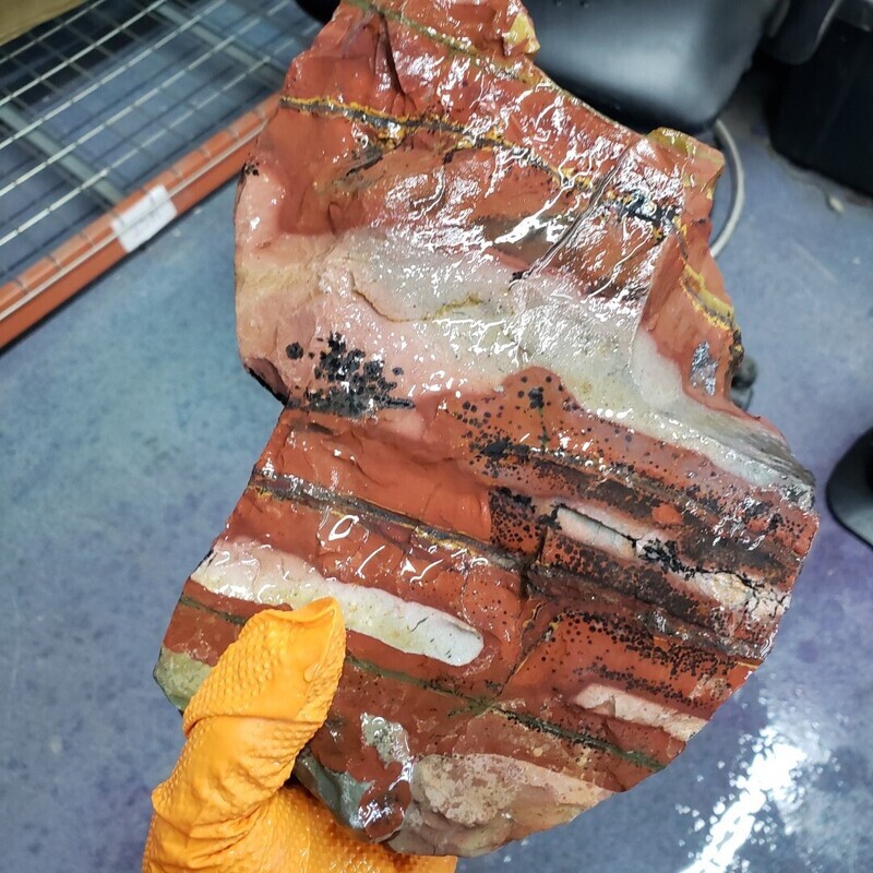 Red and Green Blanket Rhyolite Rough