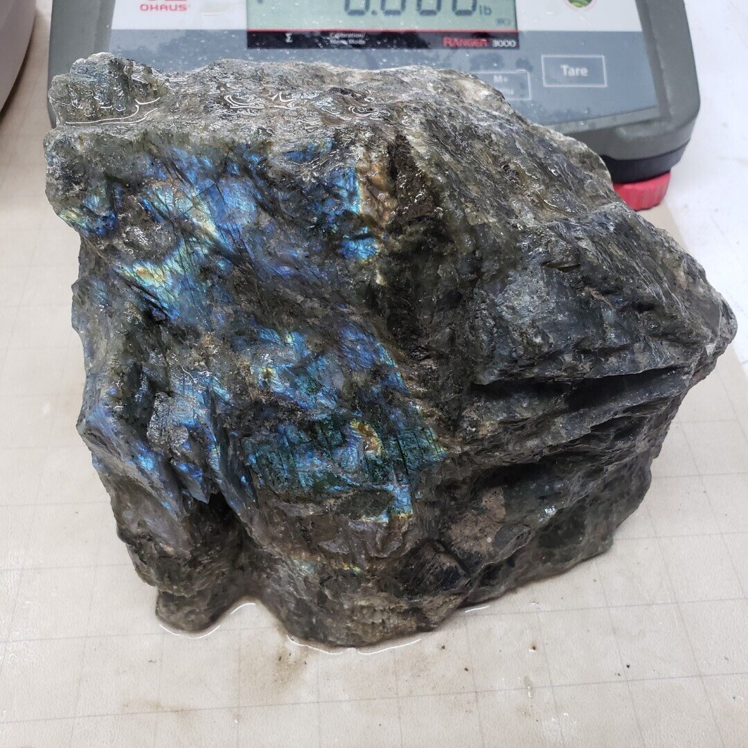 Electric Blue Labradorite Rough