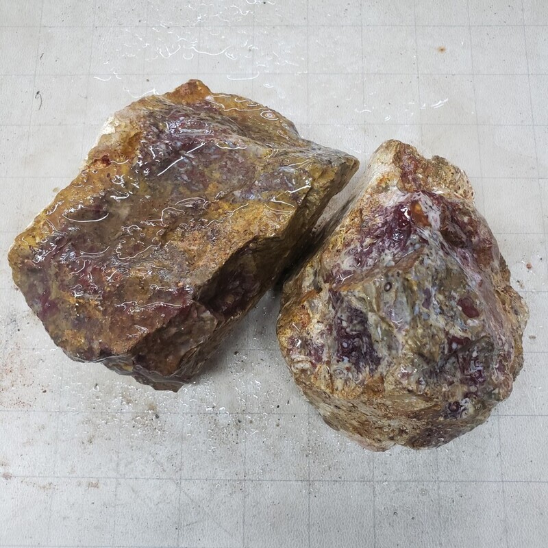 Indonesian Red Palm Root Rough