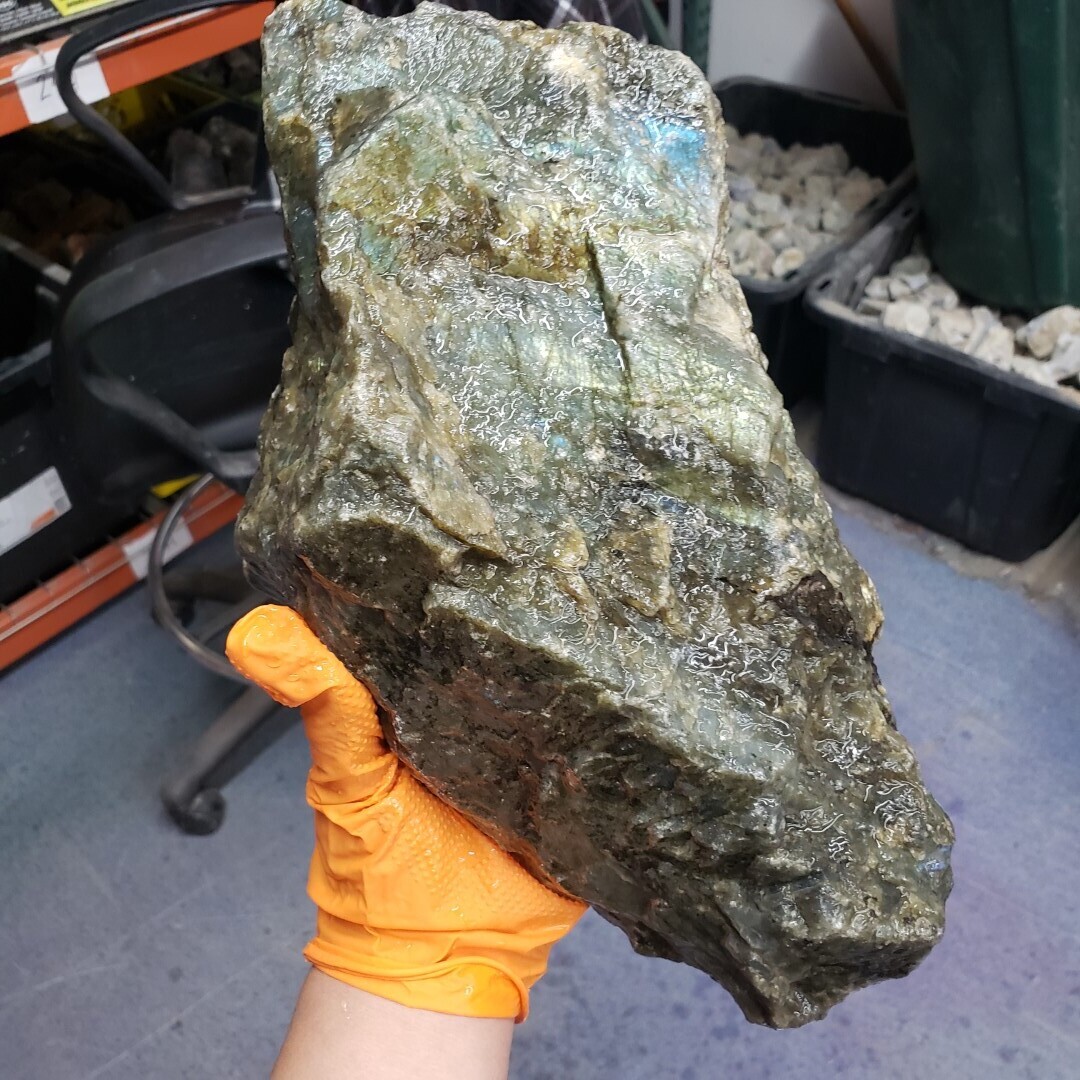 Peacock Blue Labradorite Rough