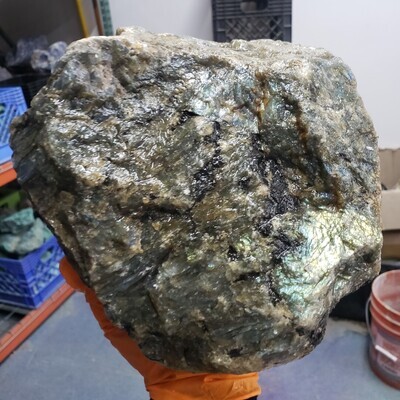 Peacock Blue Labradorite Rough