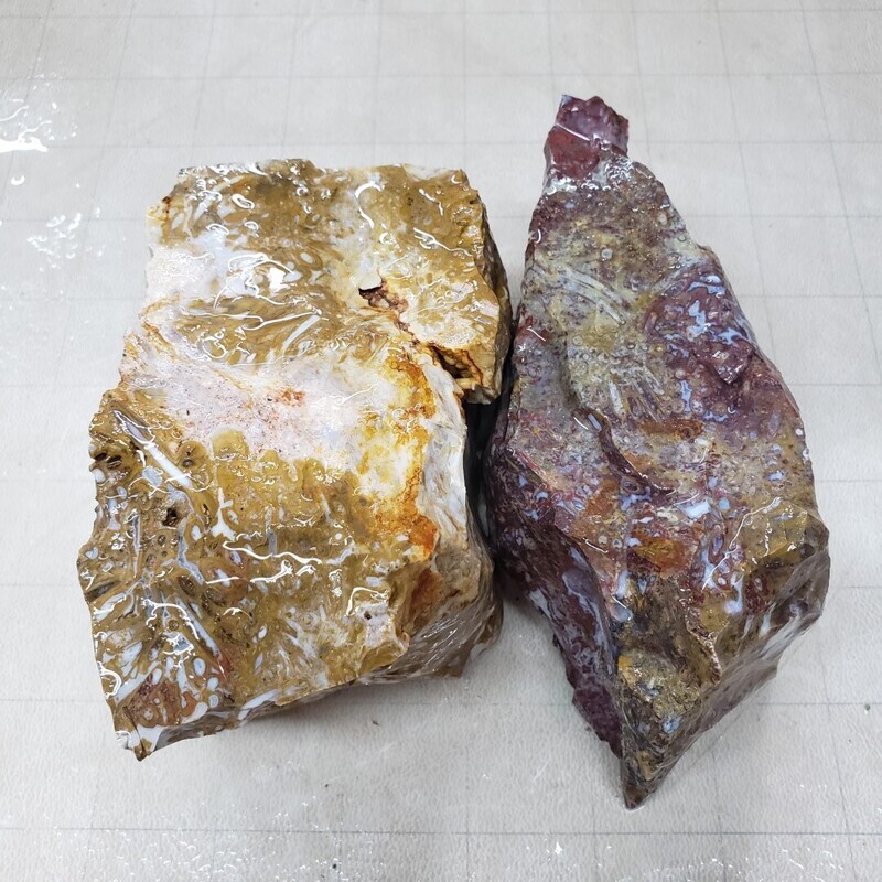 Indonesian Red Palm Root Rough Lot