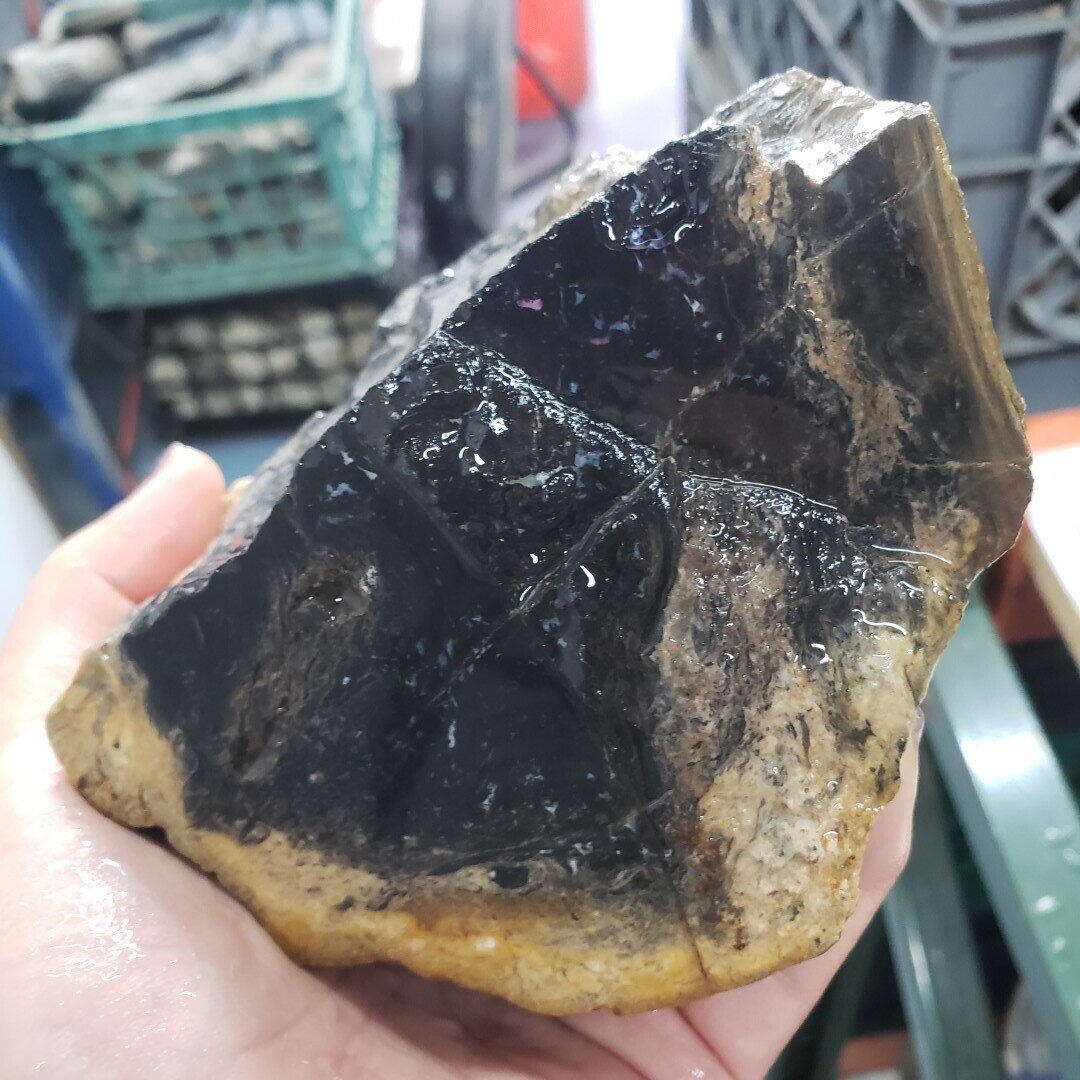 Indonesian Black Palm Root Rough