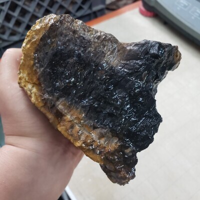 Indonesian Black Palm Root Rough