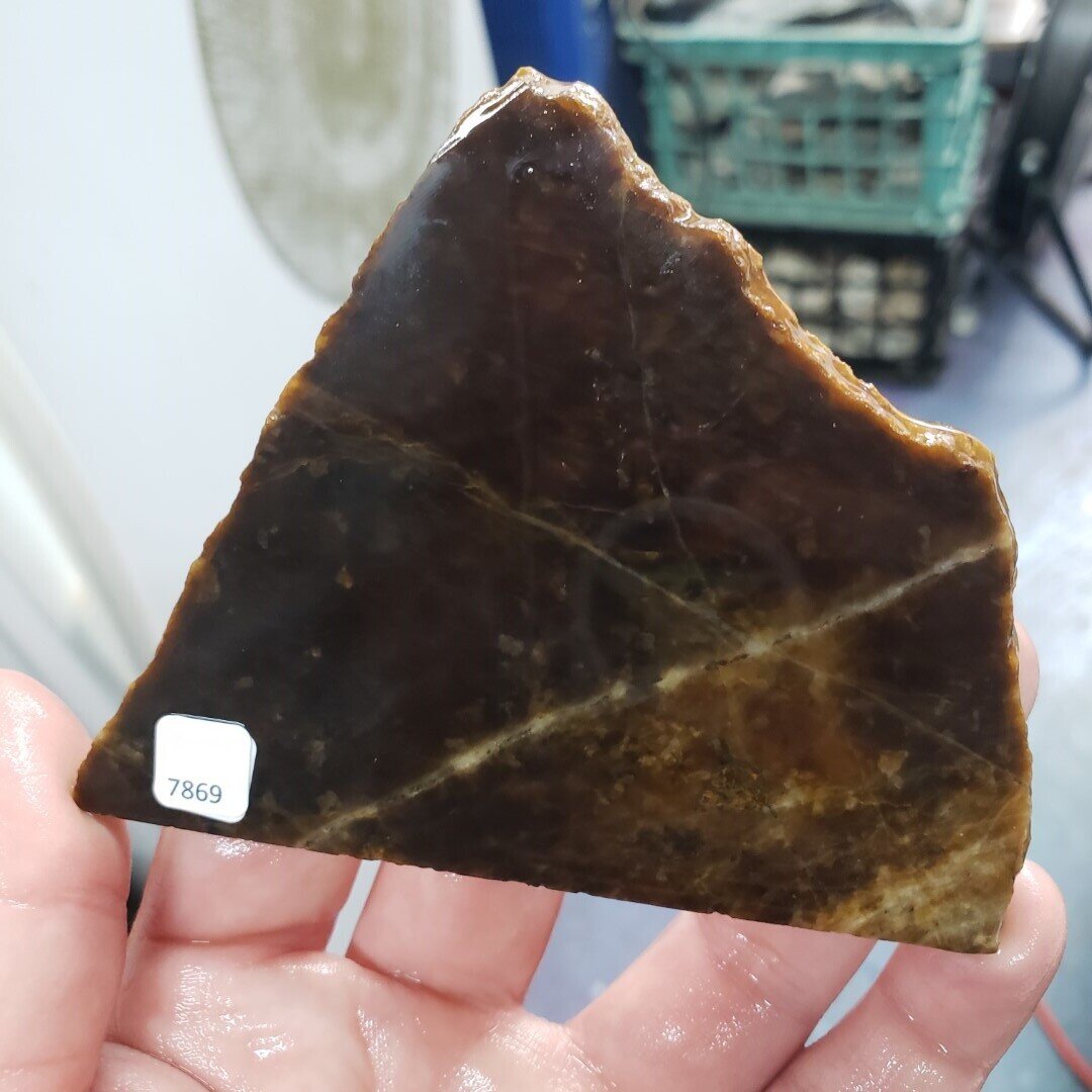 Petrified Wood Slab