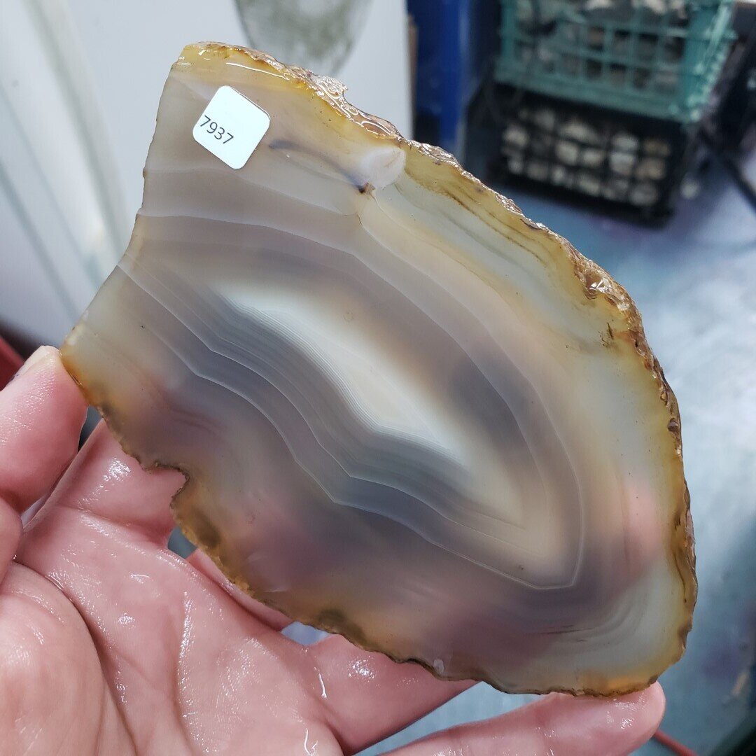 Montana Agate Slab