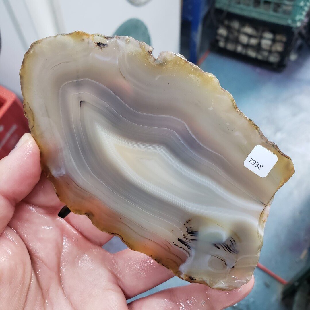 Montana Agate Slab